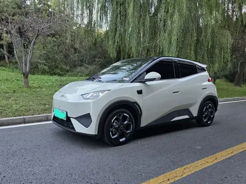 2025 BYD Seagull Smart Driving 305km Freedom