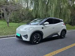 2025 BYD Seagull Smart Driving 305km Freedom, белый — фото 1