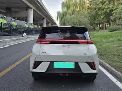2025 BYD Seagull Smart Driving 305km Freedom, белый — фото 15