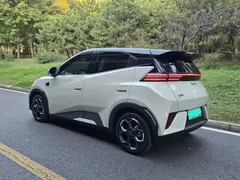 2025 BYD Seagull Smart Driving 305km Freedom, белый — фото 16