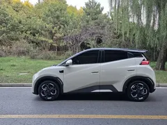 2025 BYD Seagull Smart Driving 305km Freedom, белый — фото 17