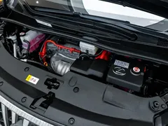 2020 Lexus LM 300h 4, чёрный — фото 11
