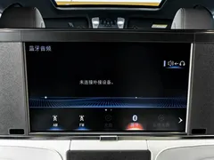 2020 Lexus LM 300h 4, чёрный — фото 21