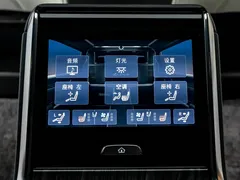 2020 Lexus LM 300h 4, чёрный — фото 22