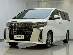 2023 Toyota Alphard 2.5L Hybrid Premium Gold, белый — фото 2