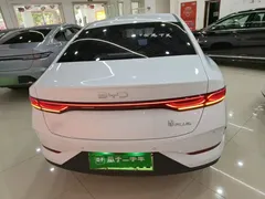 2025 BYD Qin PLUS EV 510KM Smart Driving Advance, белый — фото 6