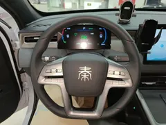 2025 BYD Qin PLUS EV 510KM Smart Driving Advance, белый — фото 11