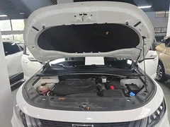 2020 Geely Okavango 1.8TD DCT Enterprising 7-seat, белый — фото 20