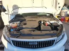 2020 Geely Emgrand GL 1.4T CVT Luxury, белый — фото 20