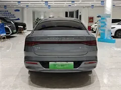 2024 BYD Qin PLUS Honor DM-i PHEV 55km Leading — фото 14
