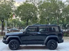 2021 Tank 300 Off-road 2.0T Conqueror, чёрный — фото 13