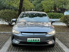 2023 BYD Qin PLUS Champion EV 420km — фото 2
