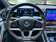2023 BYD Qin PLUS Champion EV 420km — фото 8