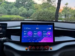 2023 BYD Qin PLUS Champion EV 420km — фото 10