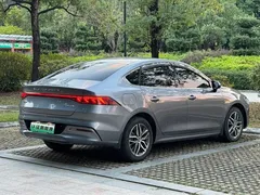 2023 BYD Qin PLUS Champion EV 420km — фото 15