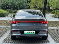 2023 BYD Qin PLUS Champion EV 420km — фото 16