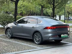 2023 BYD Qin PLUS Champion EV 420km — фото 17