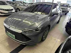 2023 BYD Qin PLUS Champion DM-i PHEV 55km Exceed — фото 1