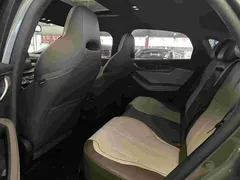 2023 BYD Qin PLUS Champion DM-i PHEV 55km Exceed — фото 6