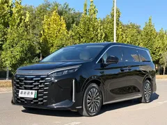 2025 BYD Xia PHEV DM-i 1.5T 100km Exceed, чёрный — фото 1