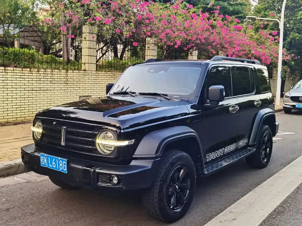 2021 Tank 300 Off-road 2.0T Conqueror