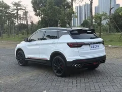 2023 Geely Coolray 1.5T DCT Diamond, белый — фото 14