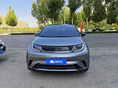 2023 BYD Dolphin 420km Fashion — фото 2
