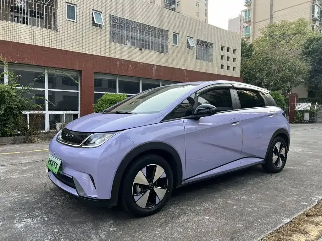 2023 BYD Dolphin 420km Freedom