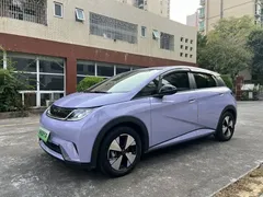 2023 BYD Dolphin 420km Freedom — фото 1