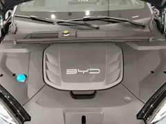 2022 BYD Seal 550km Standard Range RWD Elite EV — фото 20