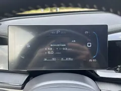 2023 BYD Qin PLUS Champion DM-i PHEV 55KM Leading — фото 17