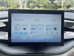 2023 BYD Qin PLUS Champion DM-i PHEV 55KM Leading — фото 19