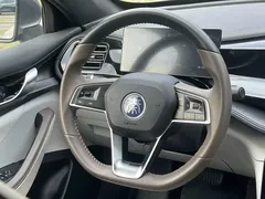 2023 BYD Qin PLUS Champion DM-i PHEV 55KM Leading — фото 20