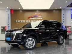 2022 Hongqi Guoyao 4.0T Premium Flagship 4 seats, чёрный — фото 1