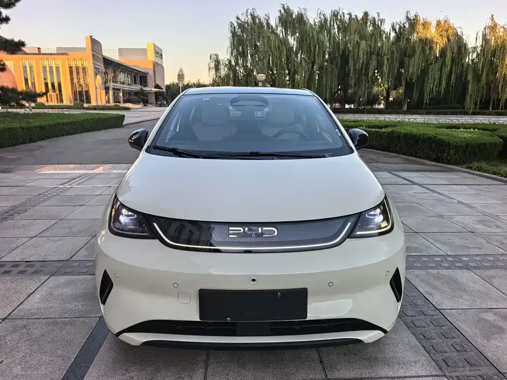 2025 BYD Dolphin Smart Driving 410km Fashion