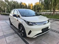 2025 BYD Dolphin Smart Driving 410km Fashion, белый — фото 2