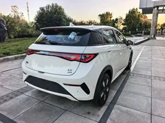 2025 BYD Dolphin Smart Driving 410km Fashion, белый — фото 6