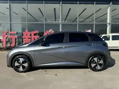 2023 BYD Dolphin 420km Fashion — фото 5