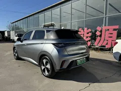 2023 BYD Dolphin 420km Fashion — фото 10