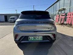 2023 BYD Dolphin 420km Fashion — фото 11