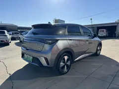 2023 BYD Dolphin 420km Fashion — фото 12