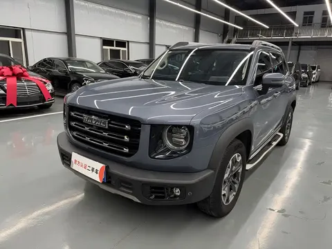 2022 Haval Dargo 2.0T DCT 4WD Chinese Rural Dog Edition