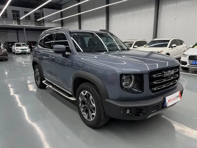 2022 Haval Dargo 2.0T DCT 4WD Chinese Rural Dog Edition
