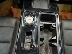 2022 Haval Dargo 2.0T DCT 4WD Chinese Rural Dog Edition — фото 7