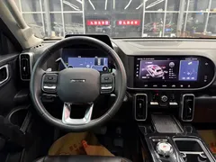 2022 Haval Dargo 2.0T DCT 4WD Chinese Rural Dog Edition — фото 9