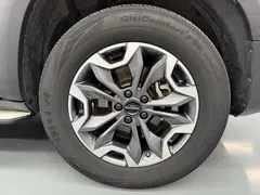 2022 Haval Dargo 2.0T DCT 4WD Chinese Rural Dog Edition — фото 11