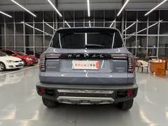 2022 Haval Dargo 2.0T DCT 4WD Chinese Rural Dog Edition — фото 19