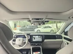 2023 Leapmotor C11 EV 500 Comfort — фото 12