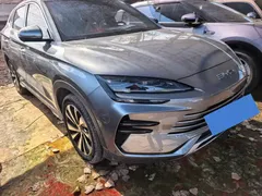2023 BYD Song PLUS Champion DM-i PHEV 110KM Flagship Plus — фото 3