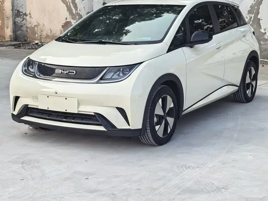 2023 BYD Dolphin 420km Freedom